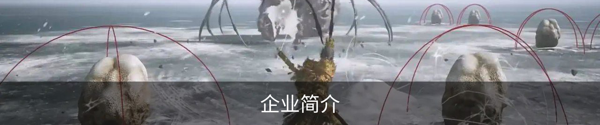 企业简介